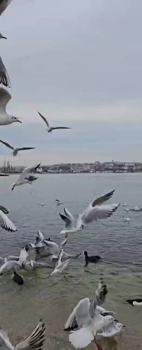 � ������ ���������� �����, ������!