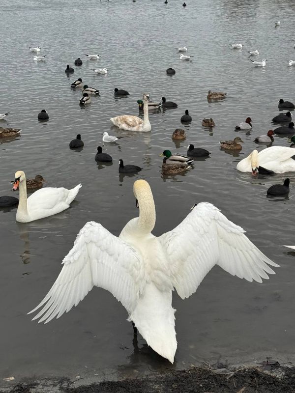 �� ����� ���������� �� ����� ������� ������� 5 ���������� ������