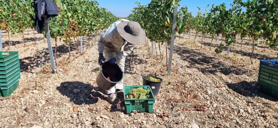 ������� ���������: ���� ���������� ������� �������, ������� ������� ���� �� ����: � ���������������� ��������� ����������� �������� ����� 4 200 ��������������, �������������� ����������������� ������������ ������ �������