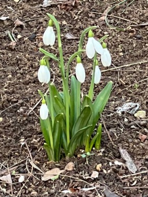 � ������ ����� ������������!