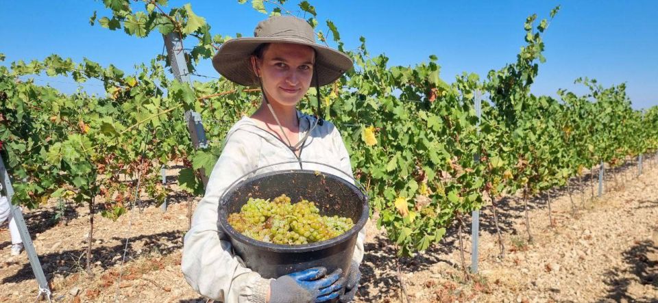 ������� ���������: ���� ���������� ������� �������, ������� ������� ���� �� ����: � ���������������� ��������� ����������� �������� ����� 4 200 ��������������, �������������� ����������������� ������������ ������ �������