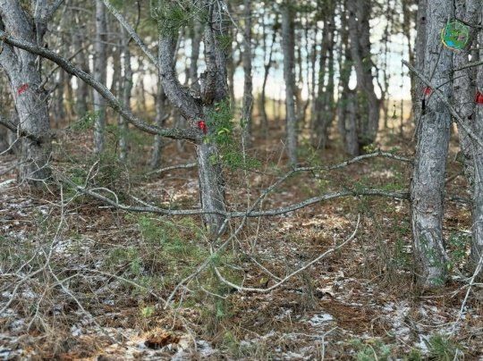 � ���������� ����������� ������� ������� � ������� ��������