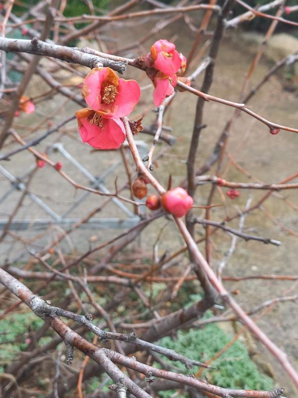 С добрым утром вторника. В Севастополе без осадков