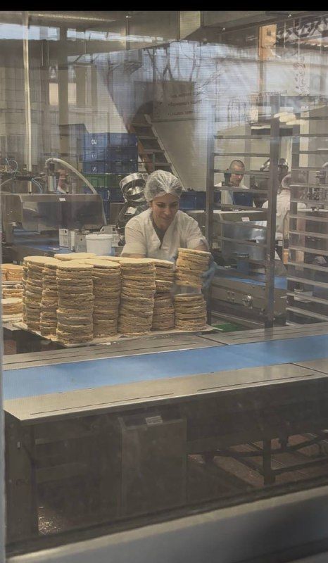 ����� ��������, ������� ���������� � ���� �����������