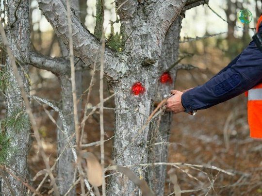 � ���������� ����������� ������� ������� � ������� ��������