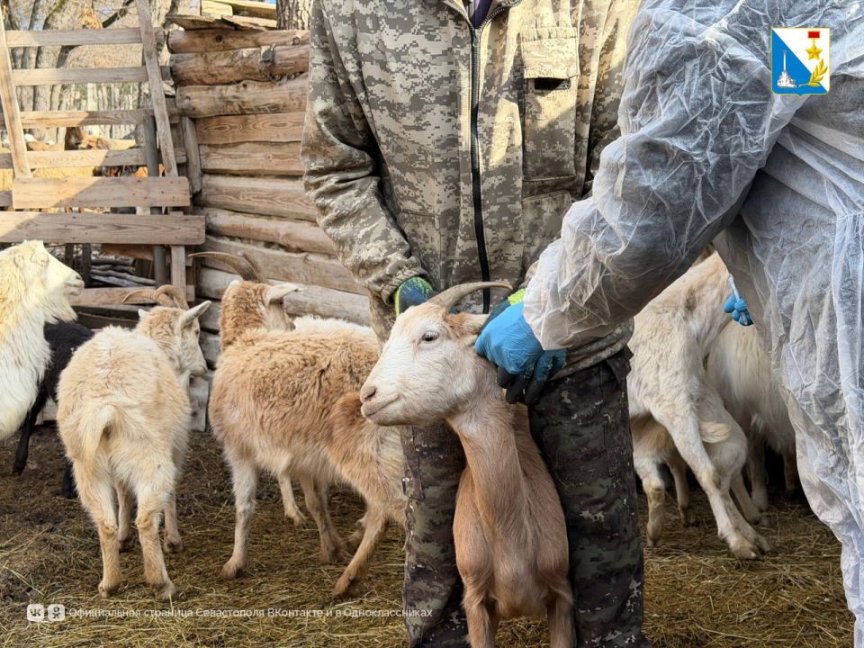 � ����������� ���������� ������ �������� ����������� ���������� � ���������� ������� �������� �����