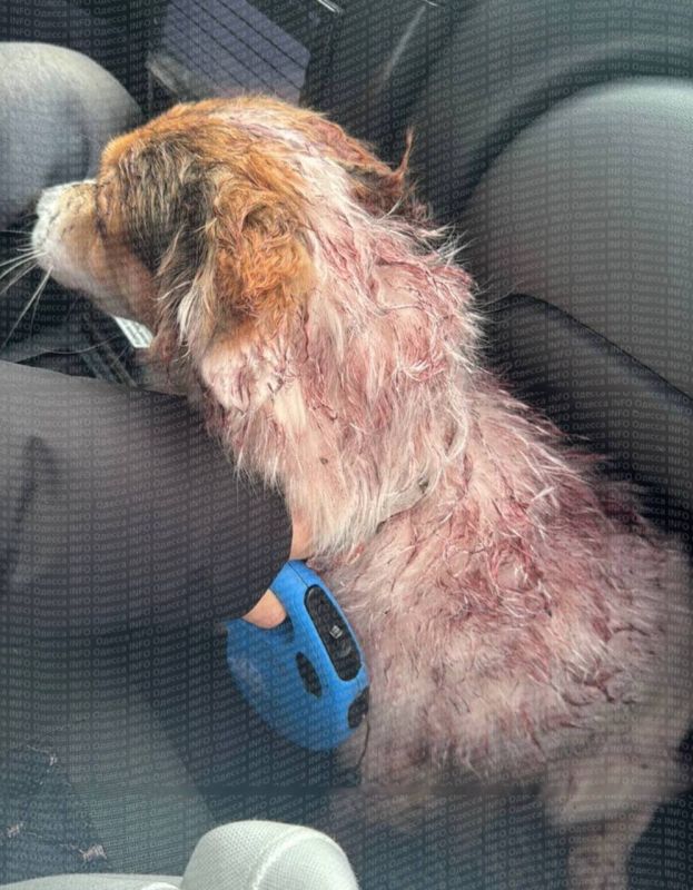 � ������ �������� ������� �������� ������ ����������, � ����� �������, ��� �� ������ �� ���