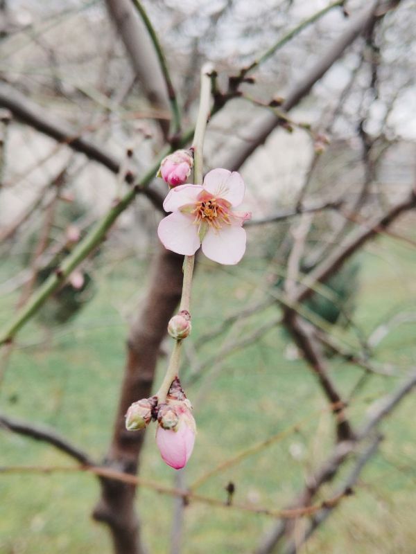 С добрым утром четверга!. В Севастополе днем без существенных осадков