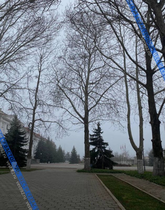 ������ ���������� ������� ������