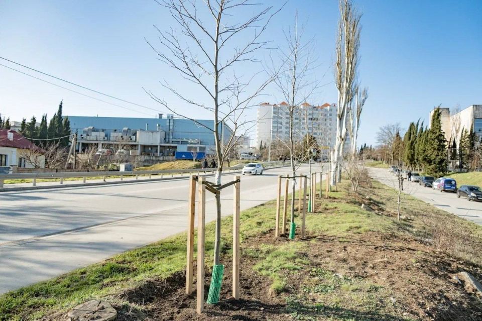 � ����������� ��������� �����