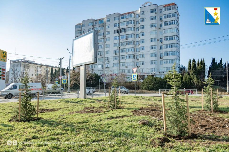 �� ����� ��������������� �������� 146 ��������