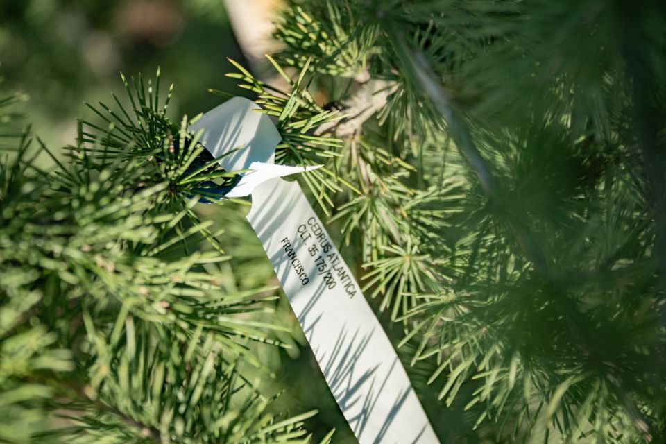 Акция «Зелёная улица» делает Севастополь ещё красивее! Акция «Зелёная улица» делает Севастополь ещё красивее!