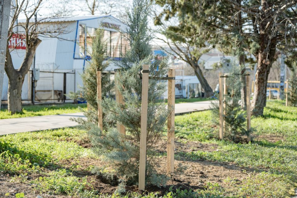 Акция «Зелёная улица» делает Севастополь ещё красивее! Акция «Зелёная улица» делает Севастополь ещё красивее!