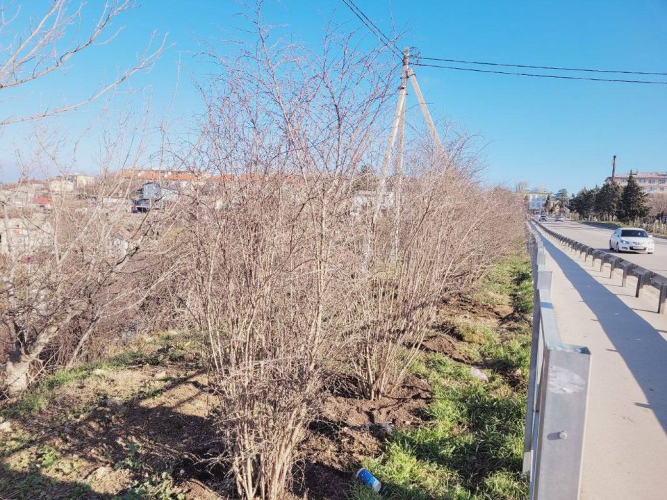 � ����������� ��������� �����