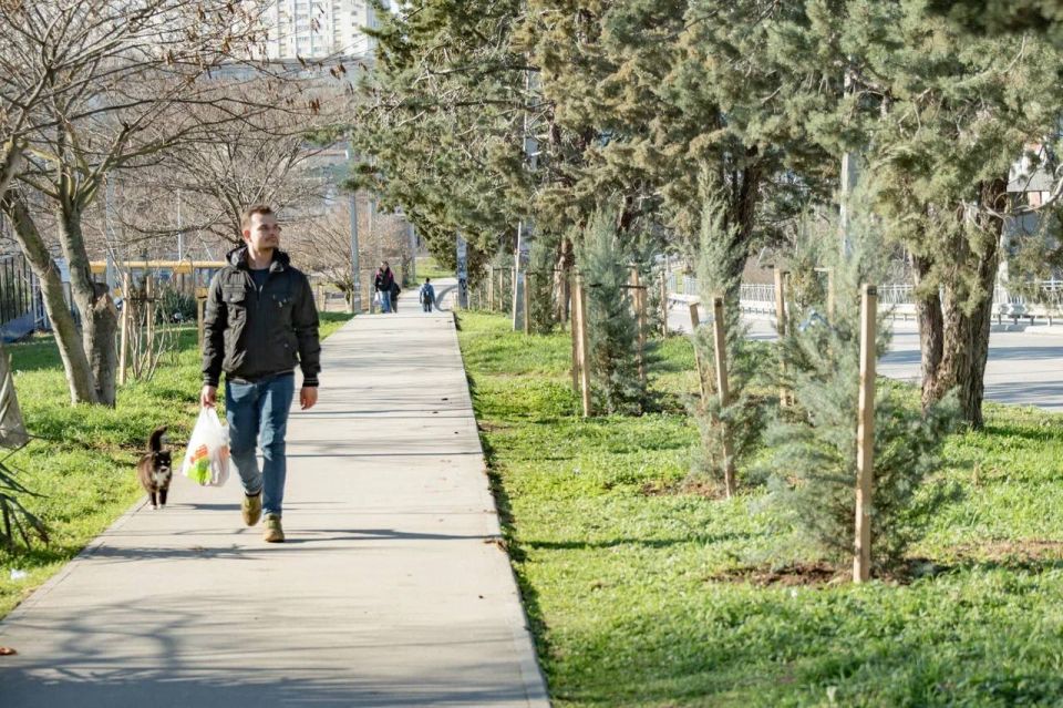 � ����������� ��������� �����