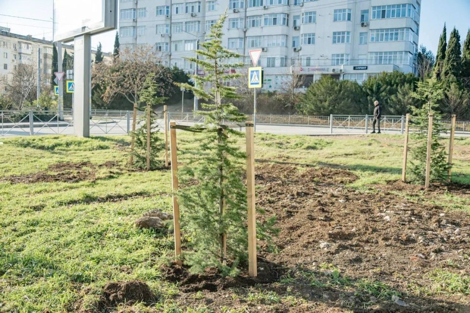 � ����������� ��������� �����