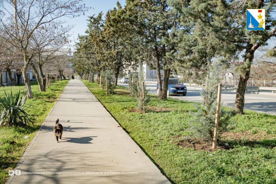 �� ����� ��������������� �������� 146 ��������