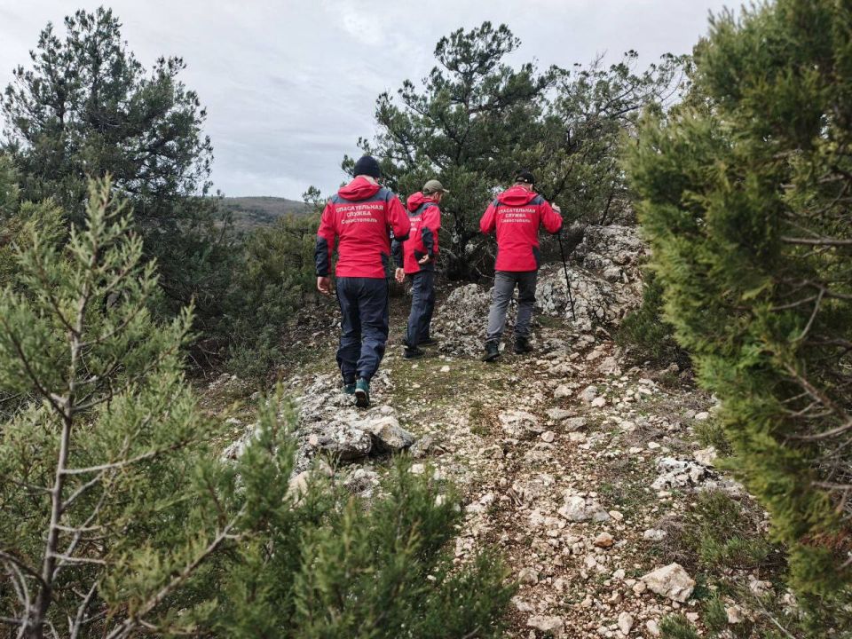 ��������������� ��������� ������� ������ �� ������� �������� ������� ��������������� �����