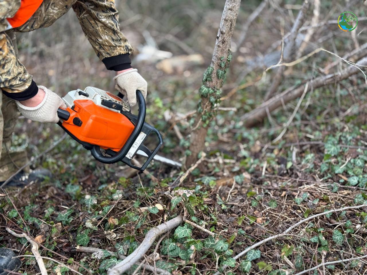 На территории памятника природы "Максимова дача" сотрудники ГБУ Севастополя "Дирекция ООПТ и лесного хозяйства" продолжают работы по благоустройству территории, очищая её от упавших ветвей и деревьев, а также удаление ...
