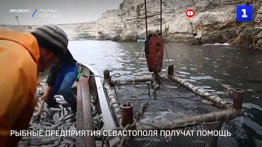 � ����������� ����� ���� ������ �� ��������� �������� ������������� ������������� ����������� � ���������������, �� ��������� �� 23 �������