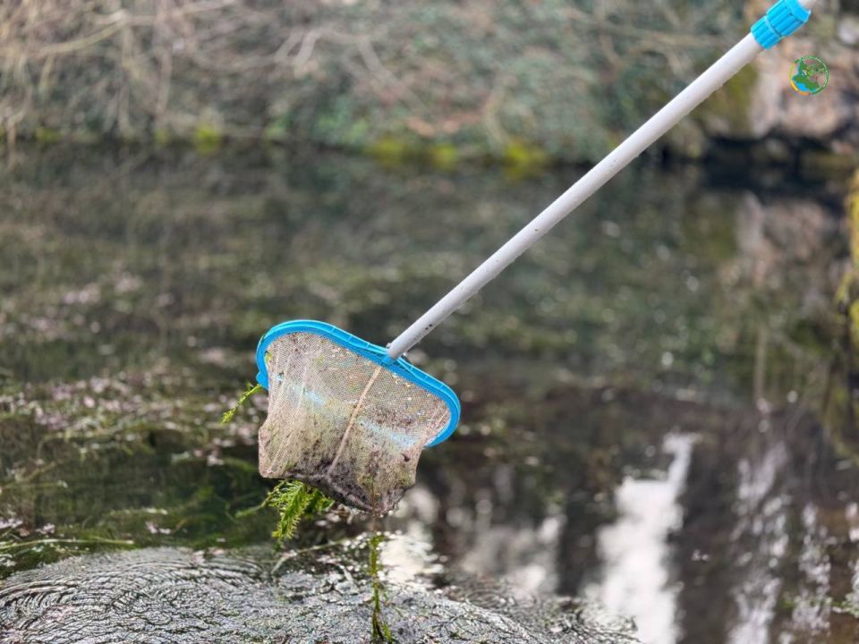 �� ���������� ��������� ������� "��������� ����" ���������� ��� ����������� "�������� ���� � ������� ���������" ���������� ������ �� ��������������� ����������, ������ � �� ������� ������ � ��������, � ����� �������� ...