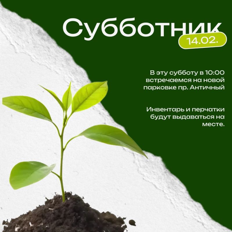 Завтра в Севастополе состоится первый в 2026 году субботник