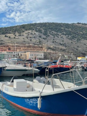 ������ �� 13 ������� :