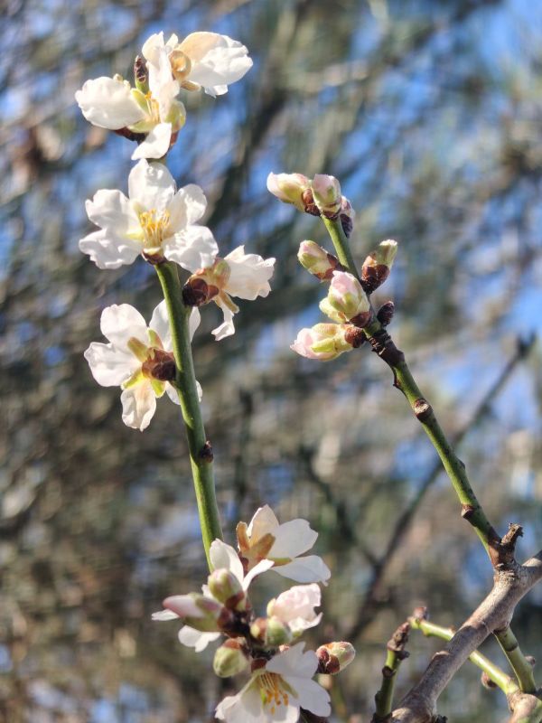 � ������ �����, ������!. � ����������� ���� �����