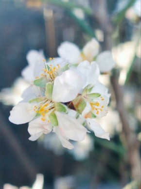 С добрым утром, друзья!. В Севастополе днем дождь