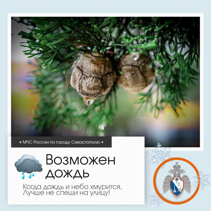 ������ ����, �����������!. �� ������ ��������������, 14 ������� � ����������� ����� �������