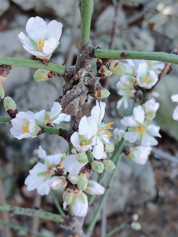 � ������ �����, ������!. � ����������� ���� �����