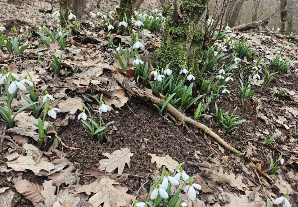 ���� �����!. � ����������� � ����������� ��� �������, ������� ��������� �����