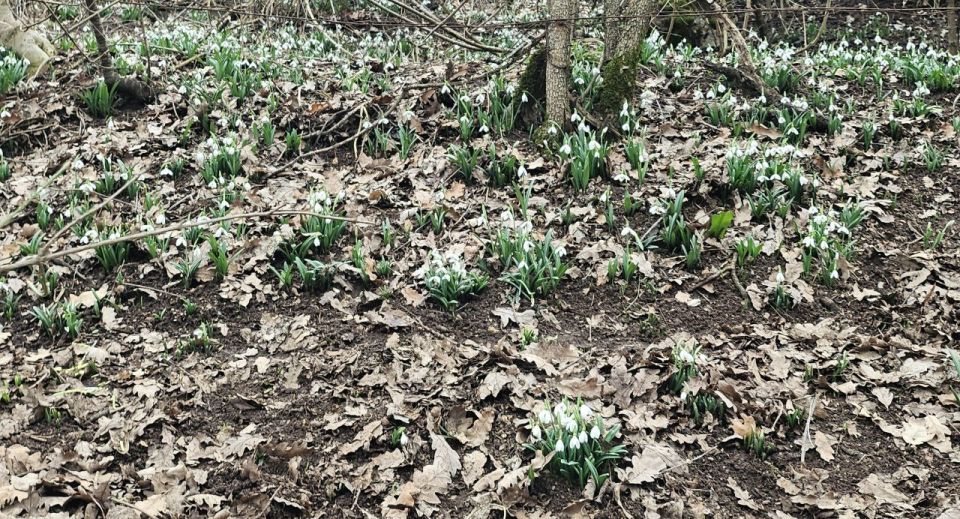 ���� �����!. � ����������� � ����������� ��� �������, ������� ��������� �����