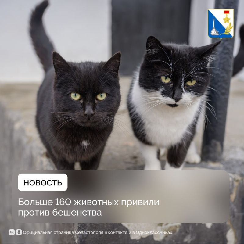 ��� 162 ������� ������� ������������ ����������� ������ ���������