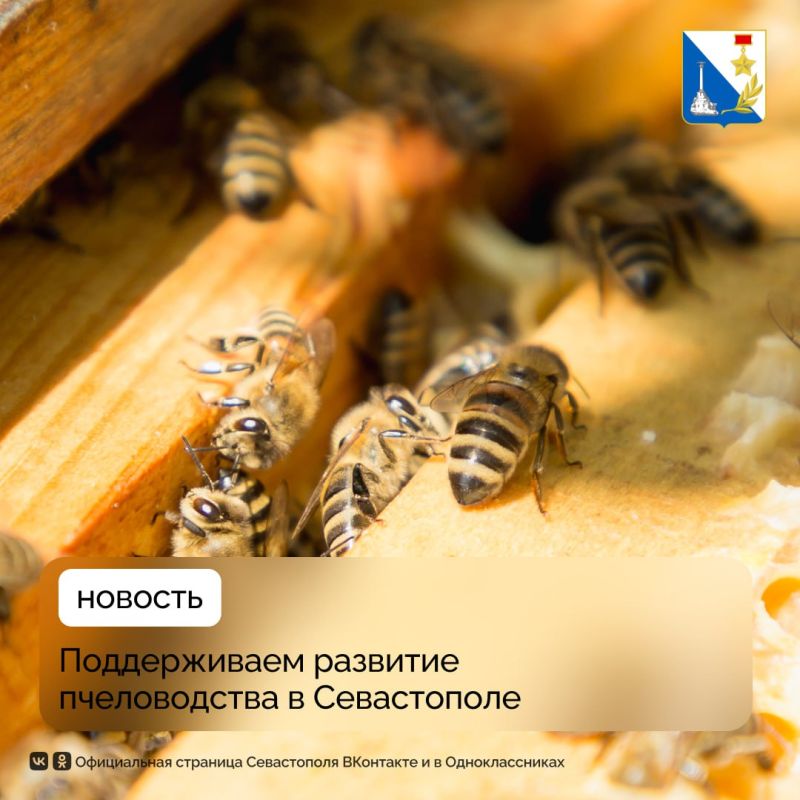 ��������� ���� ������ �� �������� ��� �������� ������������