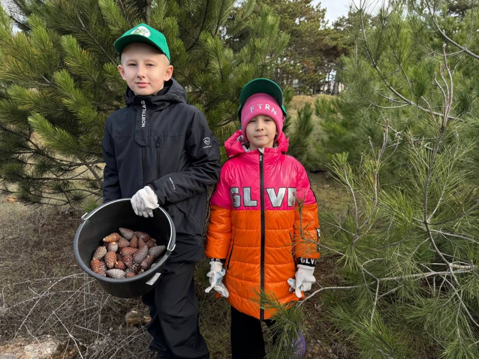 ��������������. �������� ����������� �������� � ��������� ����� ��� �������� ����