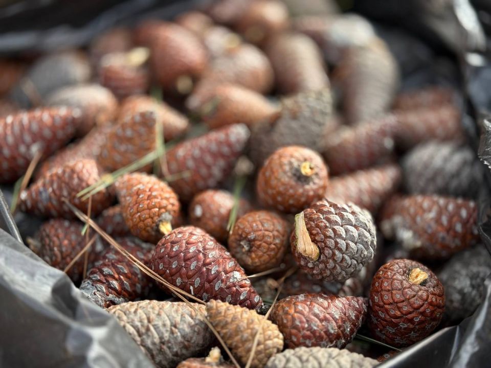 ��������������. �������� ����������� �������� � ��������� ����� ��� �������� ����