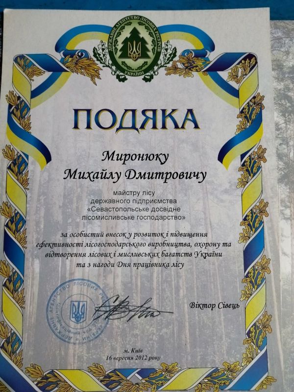 ���� ����������������. ������ ������� � ����� � ���� � ������ ���������