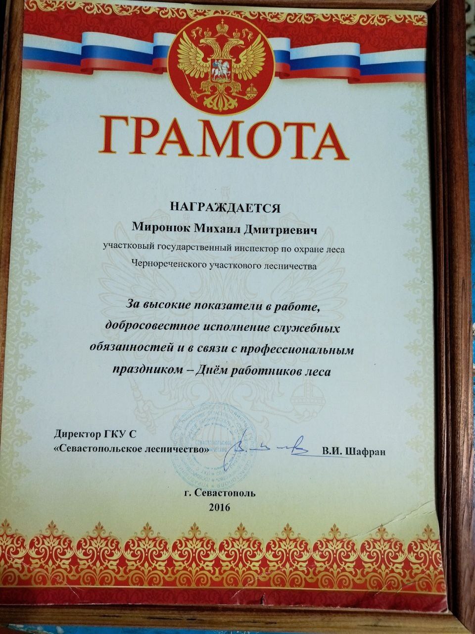 ЛИЦА Севприроднадзора. Михаил Миронюк – жизнь и труд в лесном хозяйстве ЛИЦА Севприроднадзора. Михаил Миронюк – жизнь и труд в лесном хозяйстве