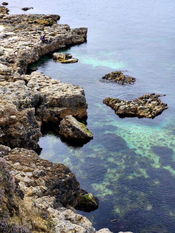 ������ ���������� �������� ����������� � �����������