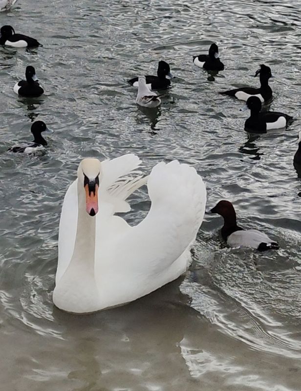 С добрым утром, друзья!. В Севастополе в среду днем дождь