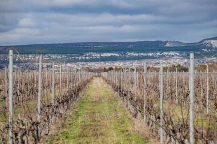 ������� ���������: ������� ������������ ������� � ������