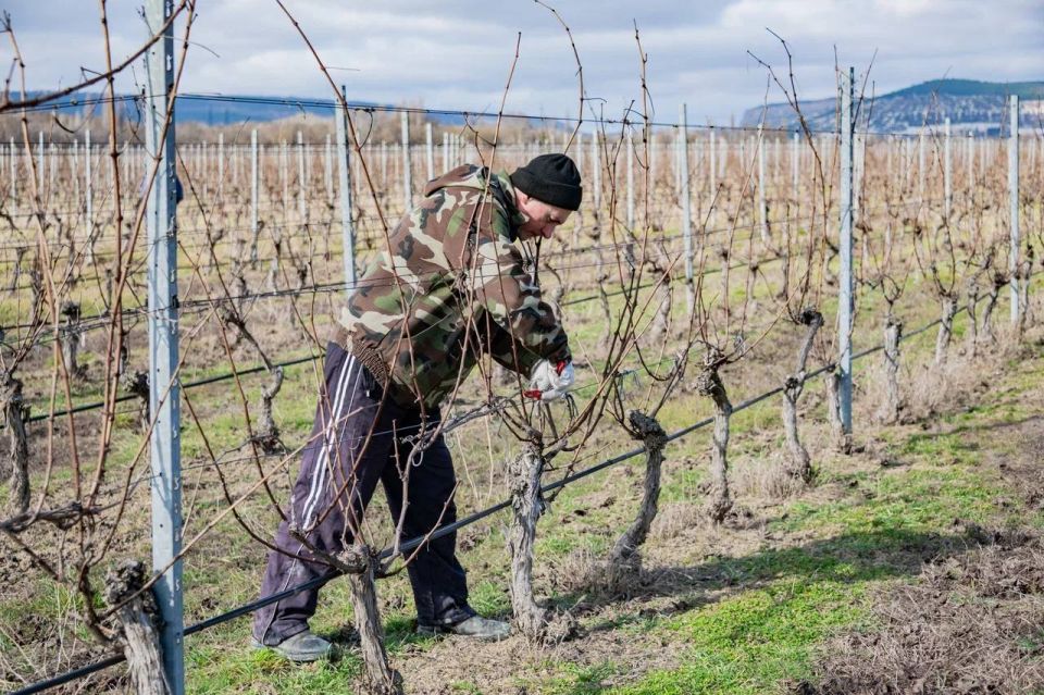 ������� ���������: ������� ������������ ������� � ������