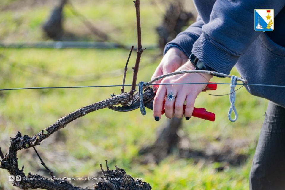 � ����������� ����������� ���������� � ������� ����