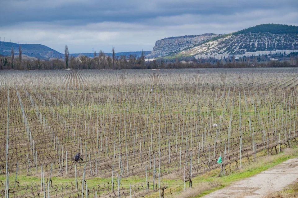 ������� ���������: ������� ������������ ������� � ������