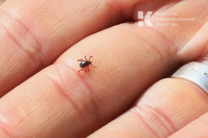 ����� � ����� �������� �������� �� ����� ��� � �����