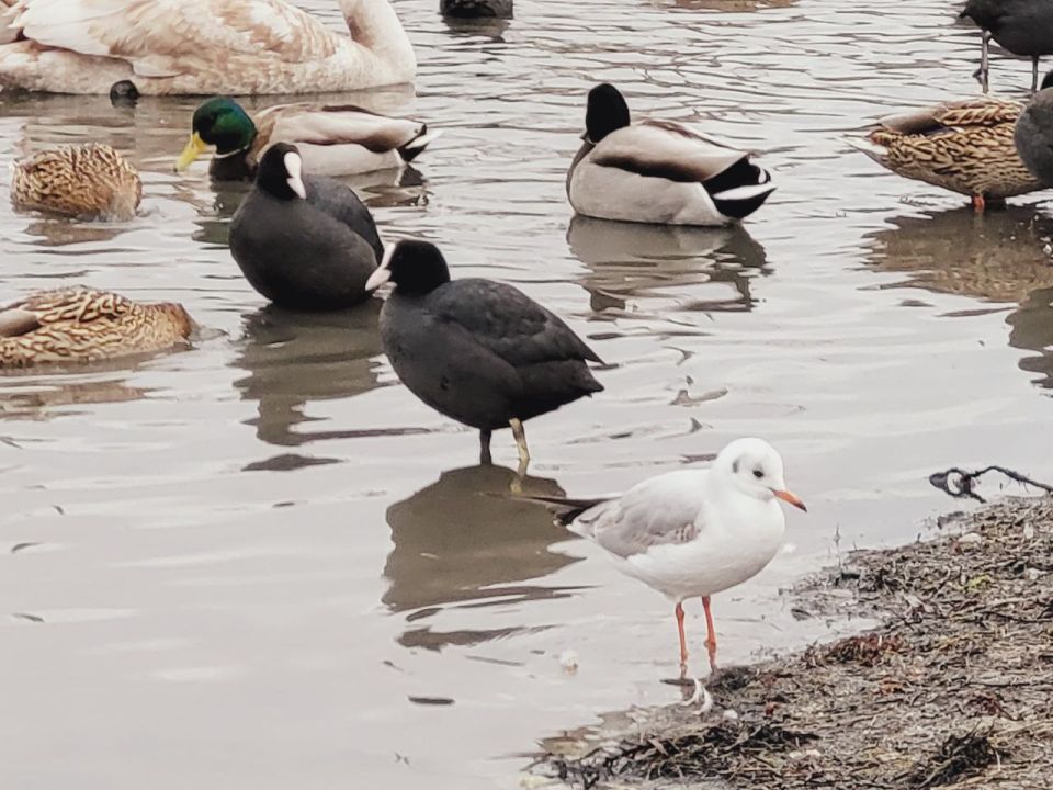 19 ������� � ������ � ���� ����������!