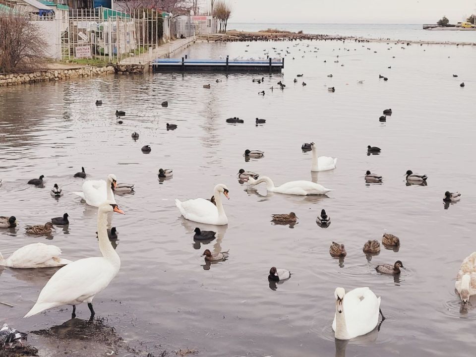 19 ������� � ������ � ���� ����������!