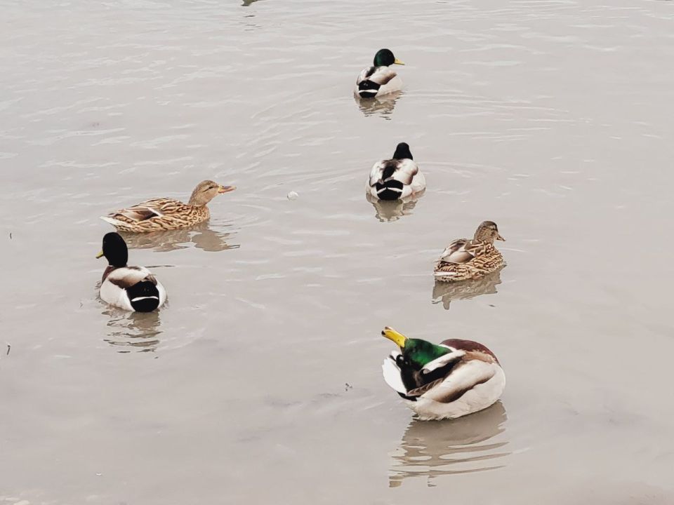 19 ������� � ������ � ���� ����������!