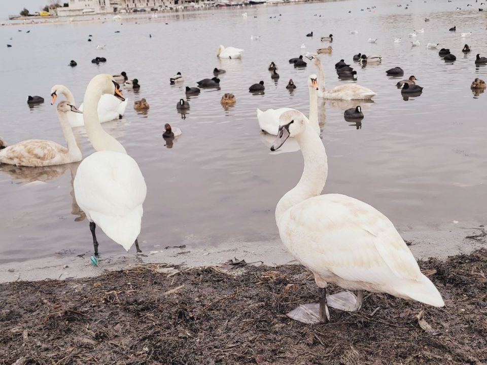 19 ������� � ������ � ���� ����������!